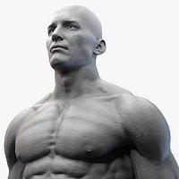Male Basemesh -  Clean topology Base Mesh  with detailed skin