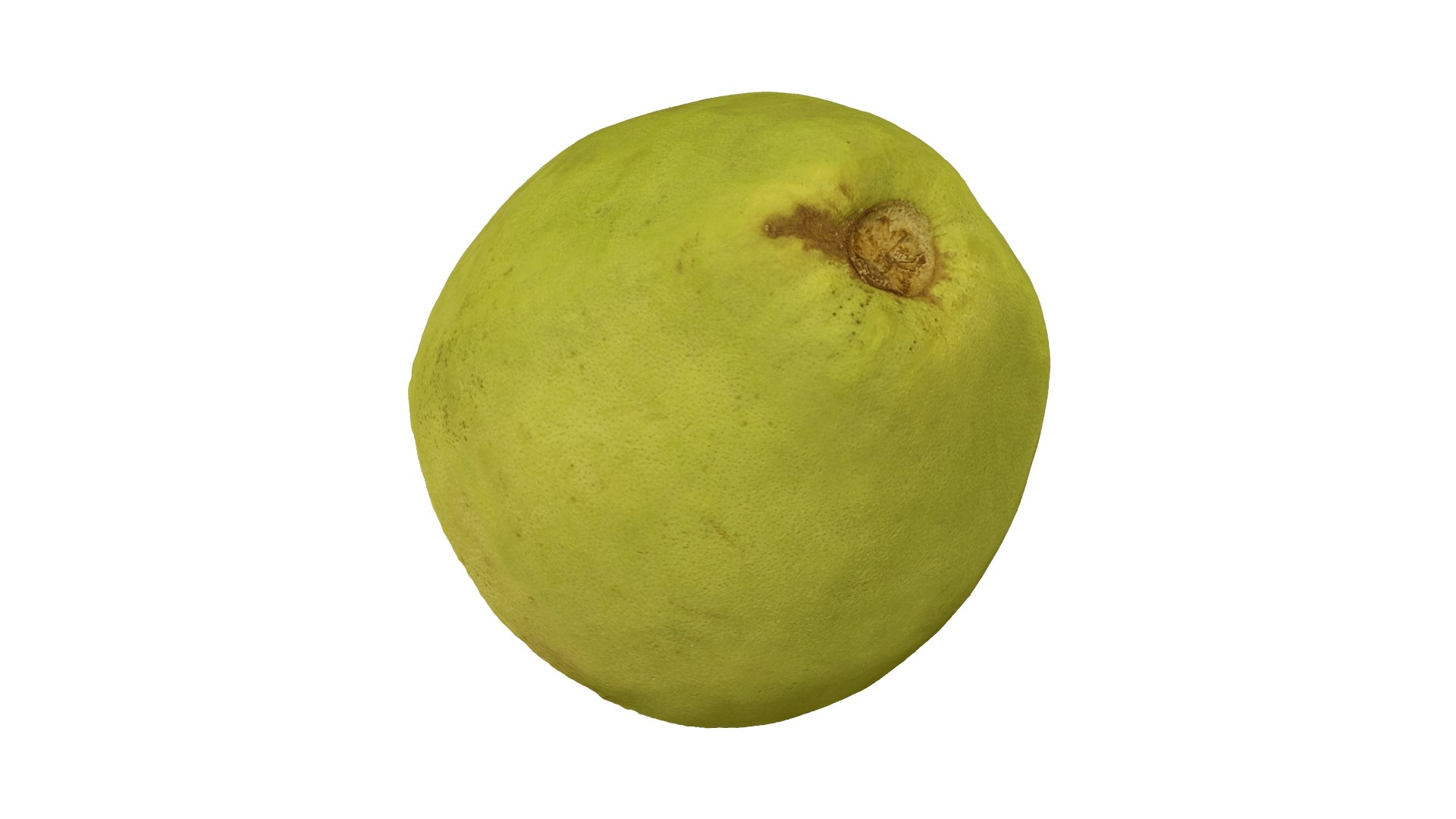 3D model Half a Guava - Extreme Definition 3D Scanned https://p.turbosquid.com/ts-thumb/lz/EM1Kg5/fb/06edbeauty21/jpg/1621193378/1920x1080/fit_q87/d891a8002de7bf7c638dd16476409e7d61768941/06edbeauty21.jpg