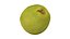 Half a Guava - Extreme Definition 3D Scanned