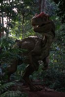 Allosaurus Dinosaur Maya Rig Introduction