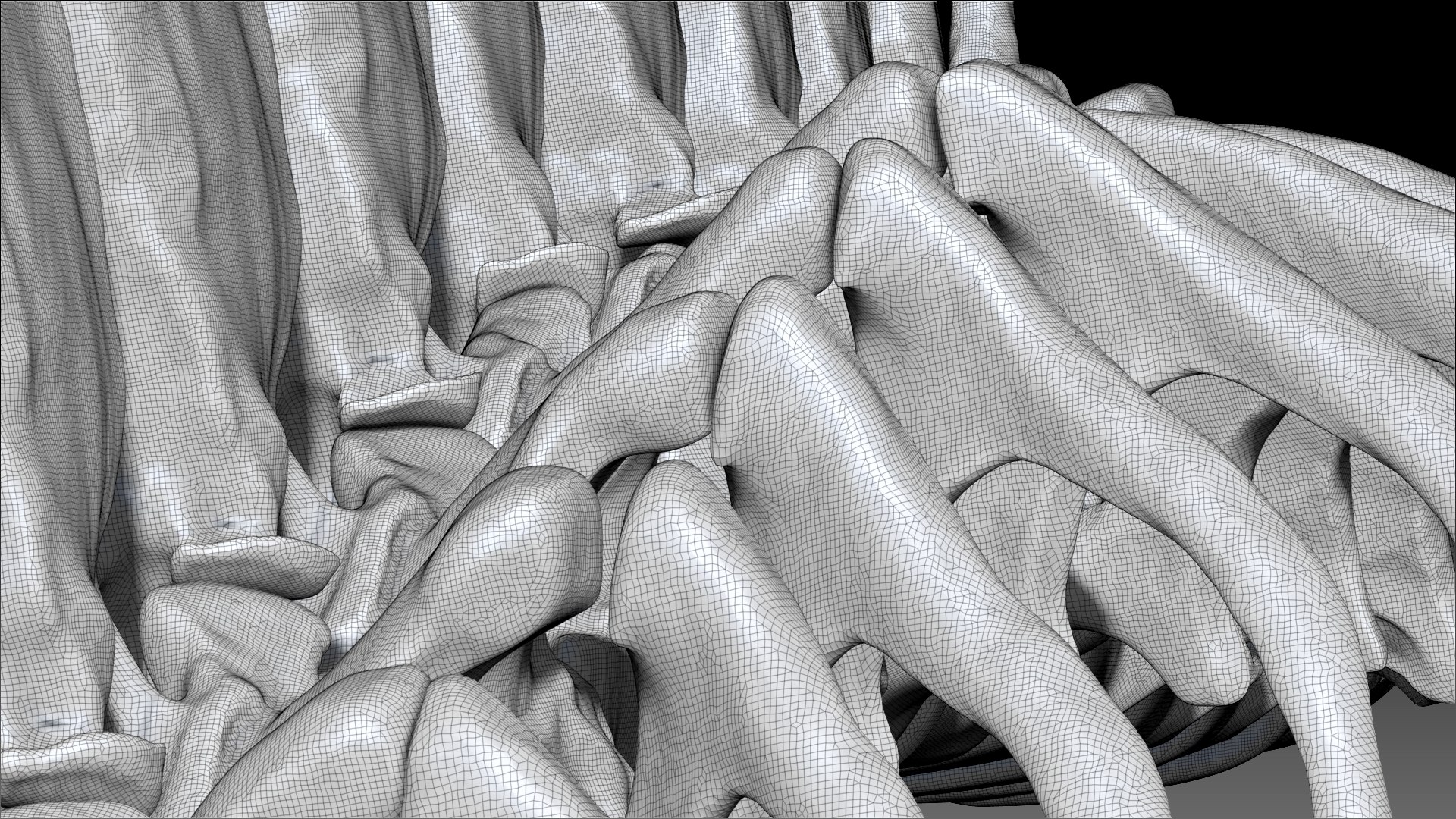 3D Model Spinosaurus Spine Ribs Skeletons Set - TurboSquid 1714693