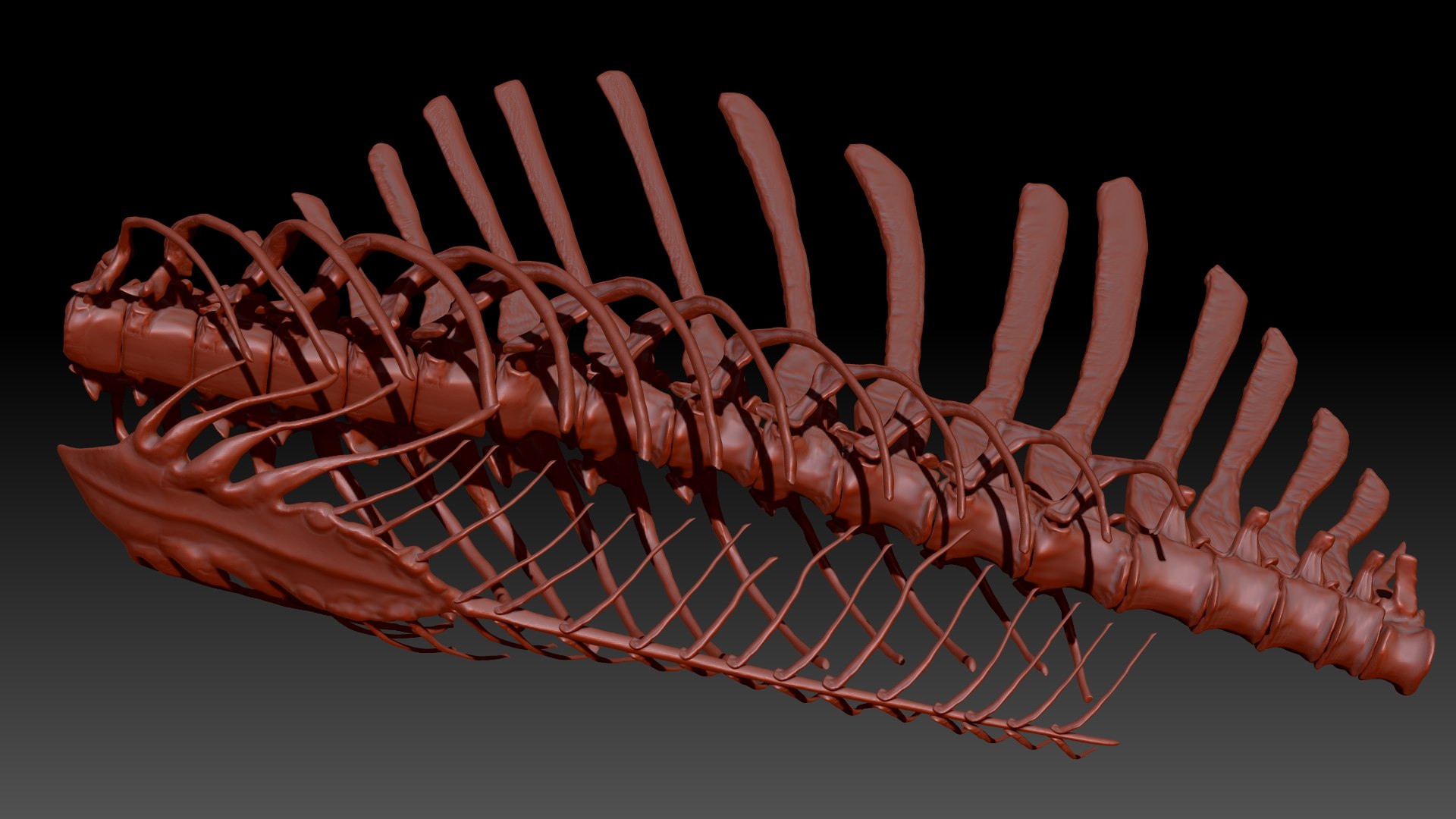 3D Model Spinosaurus Spine Ribs Skeletons Set - TurboSquid 1714693