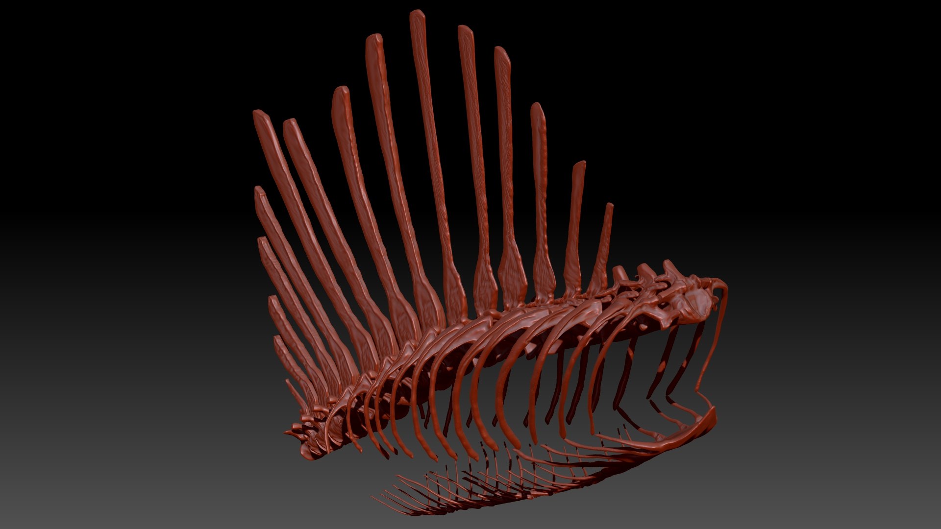 3D Model Spinosaurus Spine Ribs Skeletons Set - TurboSquid 1714693
