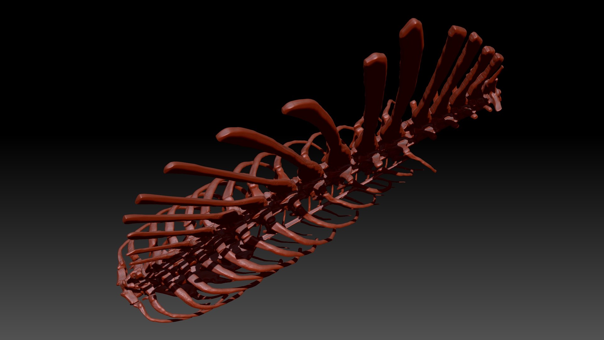 3D Model Spinosaurus Spine Ribs Skeletons Set - TurboSquid 1714693