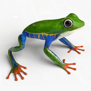 Green Frog Rigged 3D model