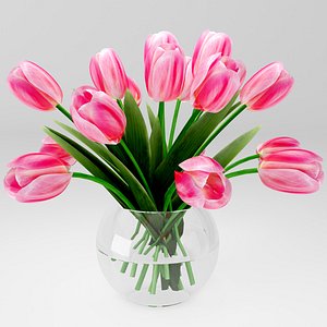 3d model bouquet tulips