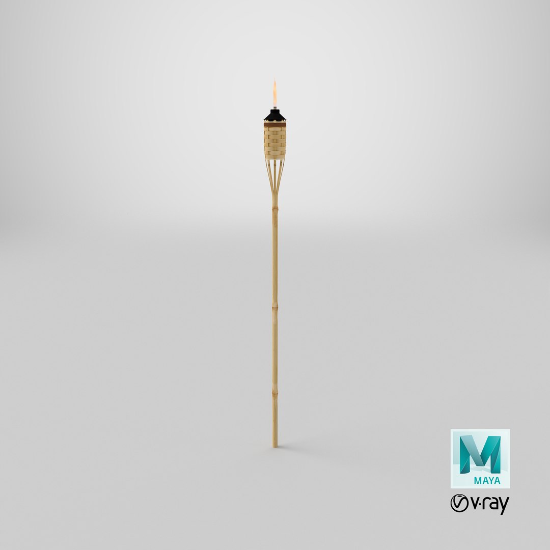 tiki design max https://p.turbosquid.com/ts-thumb/lz/SrCpuV/zesXWzV4/qa_camera_full_frame_0/png/1522125982/1920x1080/fit_q87/077f2eddf72f450394dec55c94761357828b8b44/qa_camera_full_frame_0.jpg