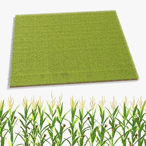 3D Agricultural Corn Field
