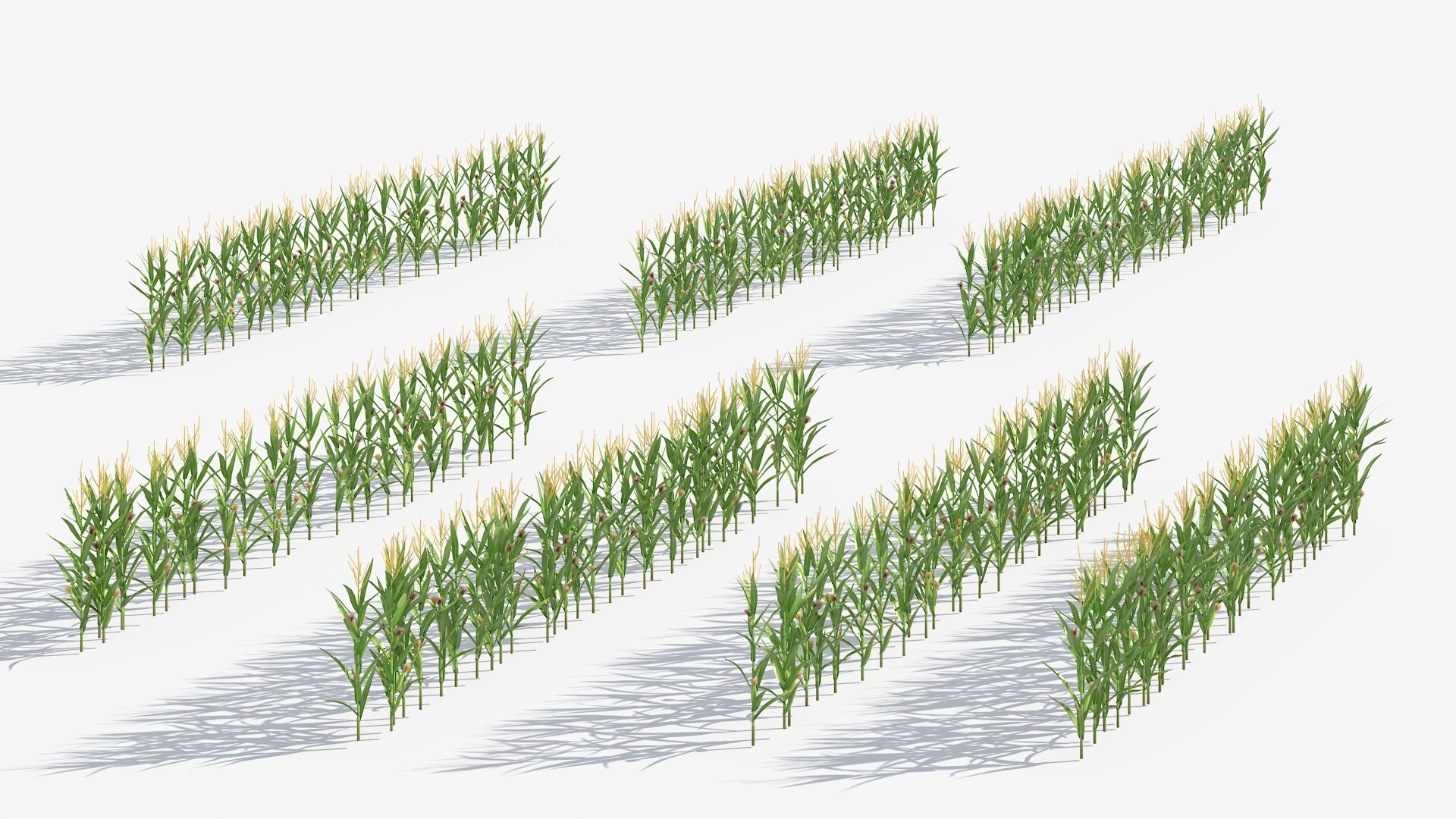 3D Agricultural Corn Field https://p.turbosquid.com/ts-thumb/lz/aPFwGe/uB/agricultural_corn_field_005/jpg/1758240405/1920x1080/fit_q87/afd9cfe3e0e176a4c520c1292509cb87451d811a/agricultural_corn_field_005.jpg