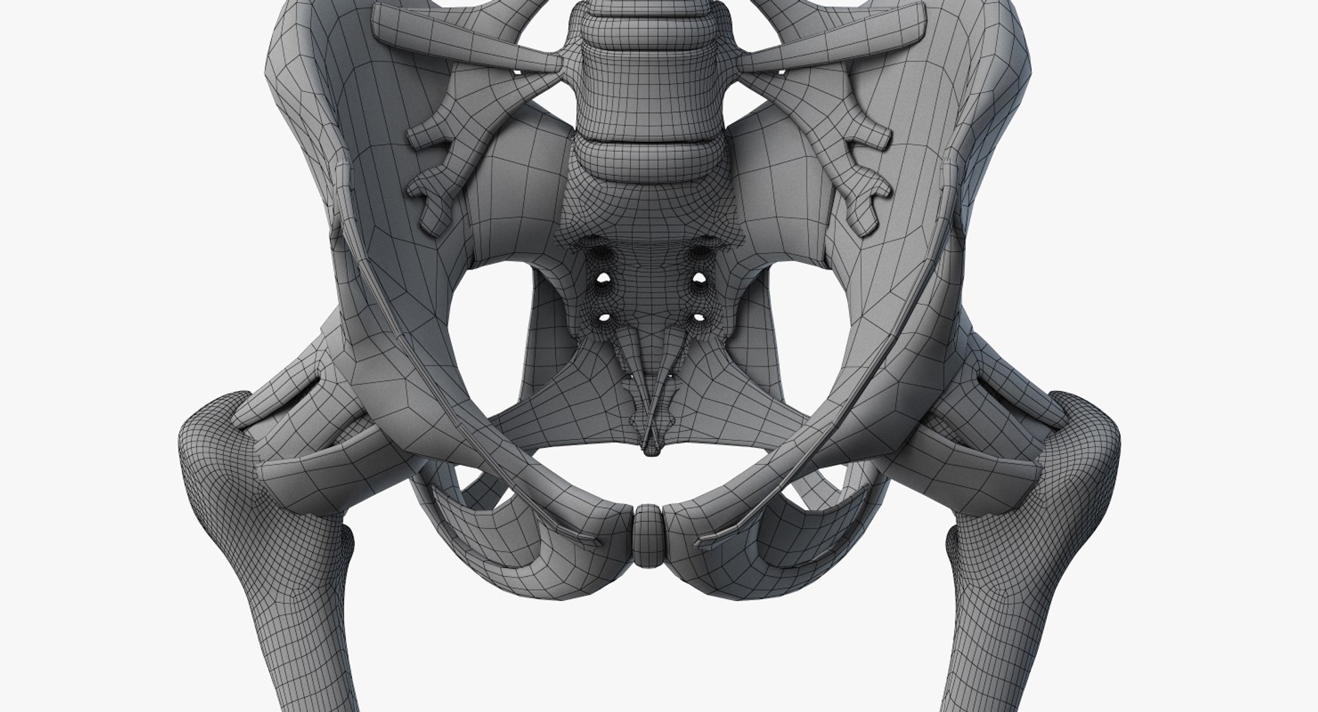 3D skin elder female skeleton https://p.turbosquid.com/ts-thumb/lz/hmAhBU/NYTZU89t/2019_female_wire_anatomy_skel0007/jpg/1568983242/1920x1080/fit_q87/07f29ce95b7b72f345b3ef6bd705d2d939511ced/2019_female_wire_anatomy_skel0007.jpg