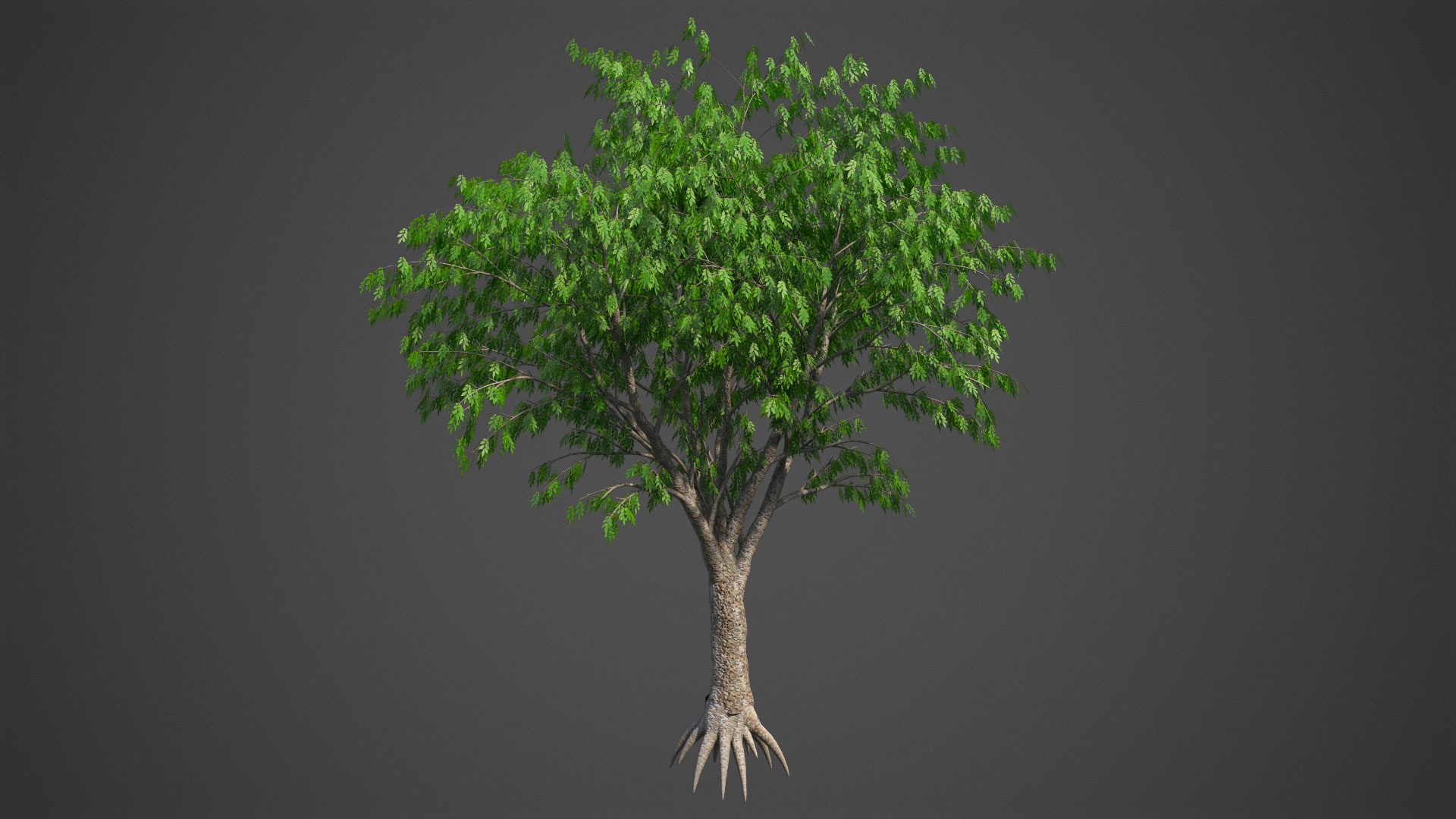 Tree Nature 3D - TurboSquid 1676983