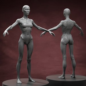 Skinny Woman Body Basemesh 3D model