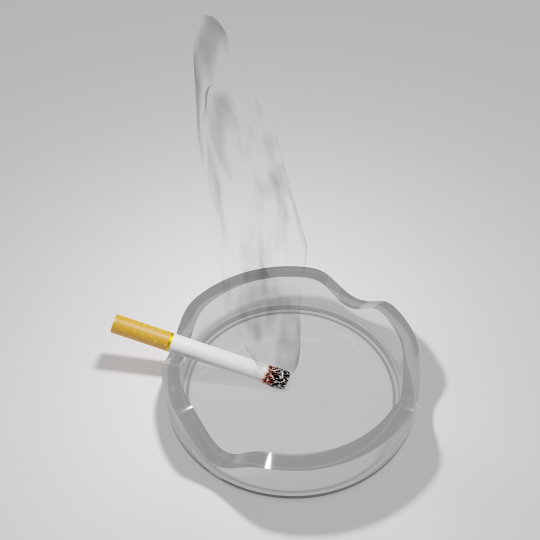 3D Burning Cigarette And Ashtray TurboSquid 1963148