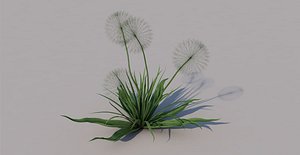 3D flower dandelion white