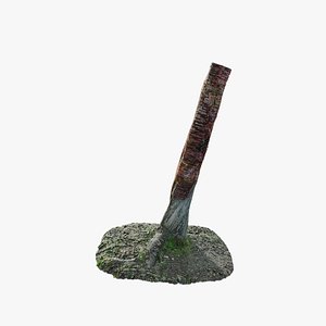 Anydrafts Betula albosinensis Trunk 09 3D model