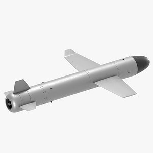 Palyanytsya Ukrainian missile drone 3D model