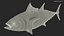 Bluefin Tuna Rigged