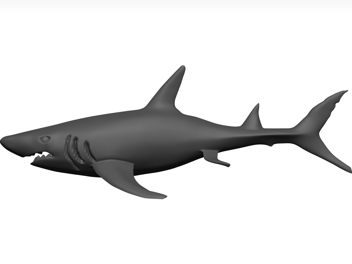 White Shark Stl 3D model - TurboSquid 1774246