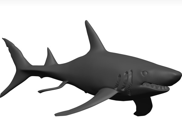 STL Shark-Unreal Models | TurboSquid