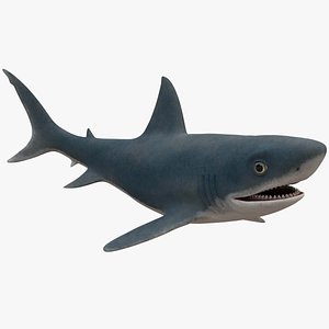 Shark ANIMATED Facial Blend Shapes
