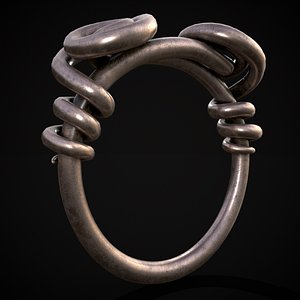 Wire Spiral Silver Ring 3D