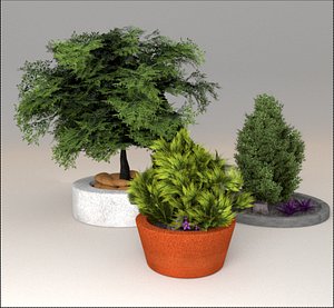 3d plants model