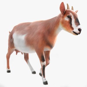Dairy Goat Fur Rigged for Blender