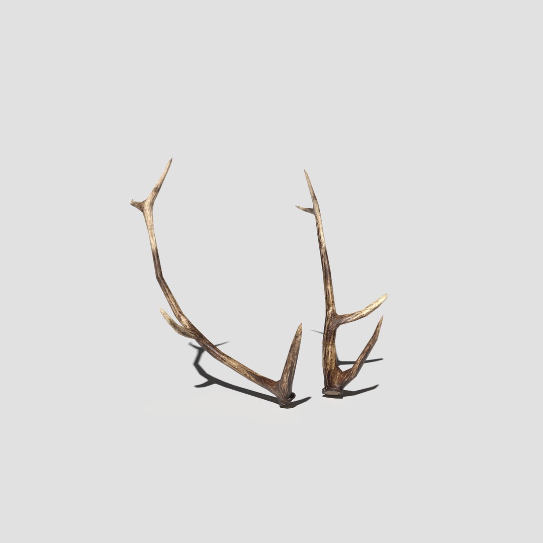 pbr antlers 3D https://p.turbosquid.com/ts-thumb/m0/dJmjFh/GasWrXgy/antlers_preview_01/png/1589891554/1920x1080/fit_q87/31db09dbf464560823cec8fd445a6c45a182823c/antlers_preview_01.jpg