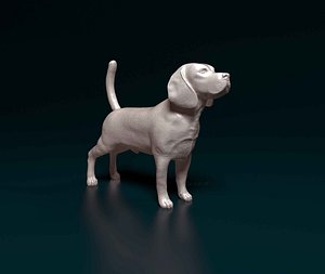 3D model Beagle