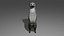 Suricate OBJ