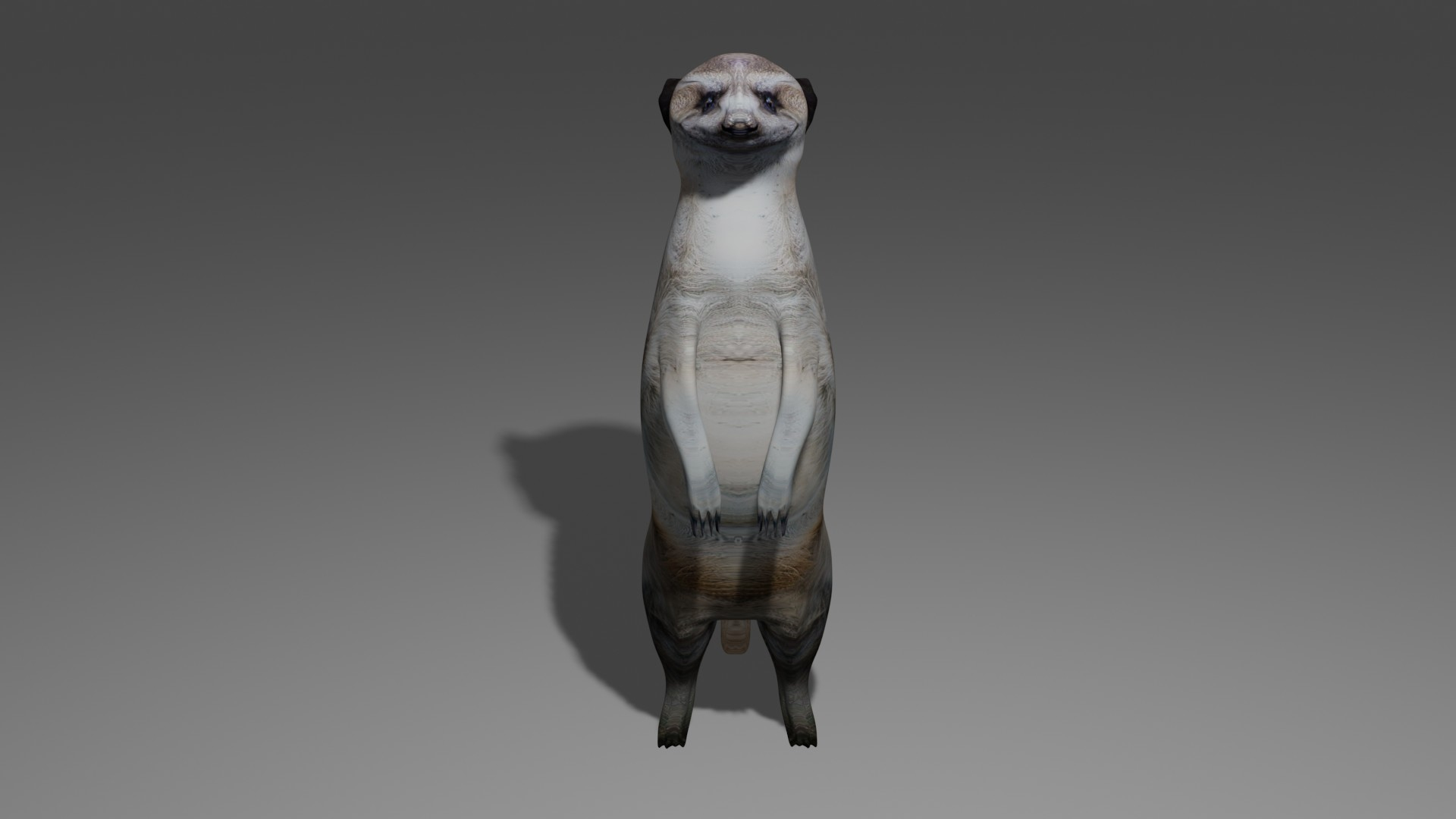 Suricate OBJ model https://p.turbosquid.com/ts-thumb/m0/kGLqNR/5j/st/jpg/1698253564/1920x1080/turn_fit_q99/be20d180cb909c6f7afa620b6e9fde3a073dde77/st-1.jpg