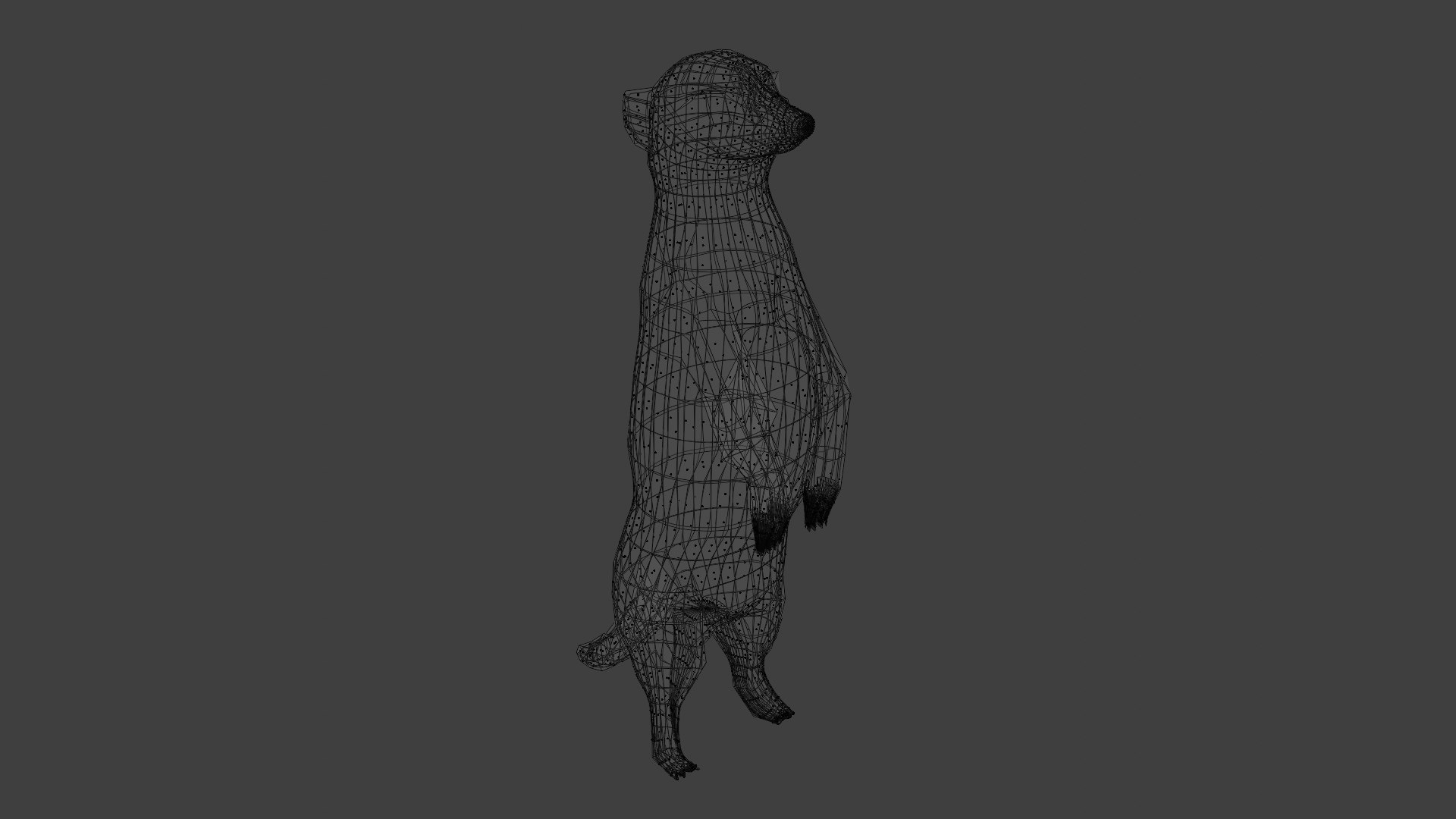 Suricate OBJ model https://p.turbosquid.com/ts-thumb/m0/kGLqNR/Ag/faces/png/1698253517/1920x1080/fit_q87/fe46c09598a76e0463f9b8b305f8270cd3d751a4/faces.jpg