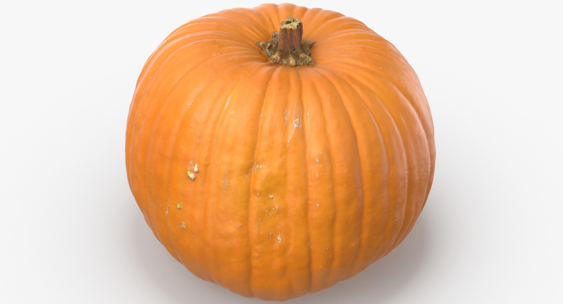jack o lantern pumpkin 3D model https://p.turbosquid.com/ts-thumb/m0/loqgbz/krFbI3oB/jack_o_lantern_pumpkin_02_thumbnail_0005/jpg/1583400117/1920x1080/fit_q87/a31f4865daa7923bc3284c63cd89aae6343609e1/jack_o_lantern_pumpkin_02_thumbnail_0005.jpg