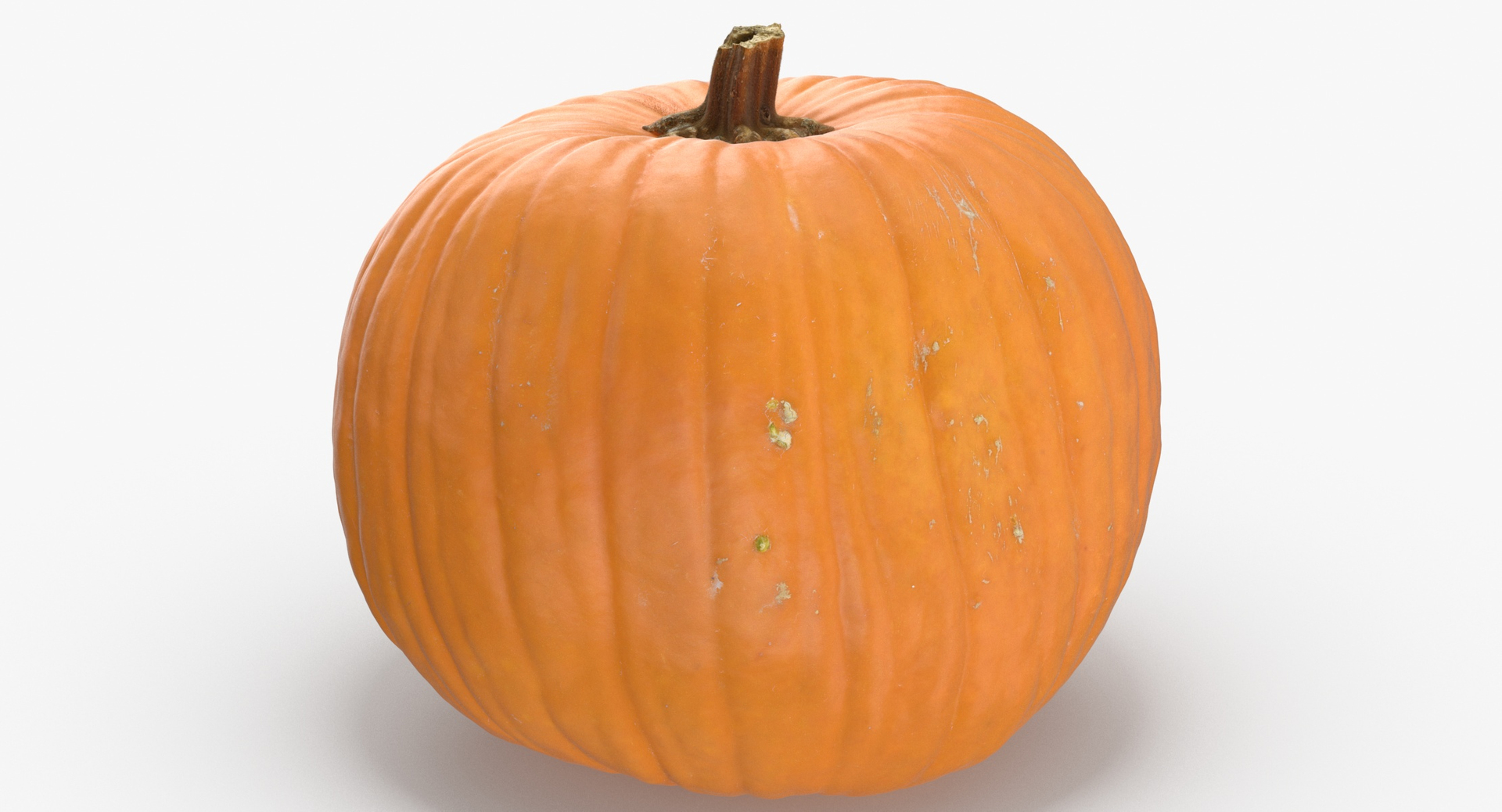jack o lantern pumpkin 3D model https://p.turbosquid.com/ts-thumb/m0/loqgbz/oDAn6Hm7/0000/jpg/1583400206/1920x1080/turn_fit_q99/4ff0363deb719f65576e564ce2686298569f9572/0000-1.jpg