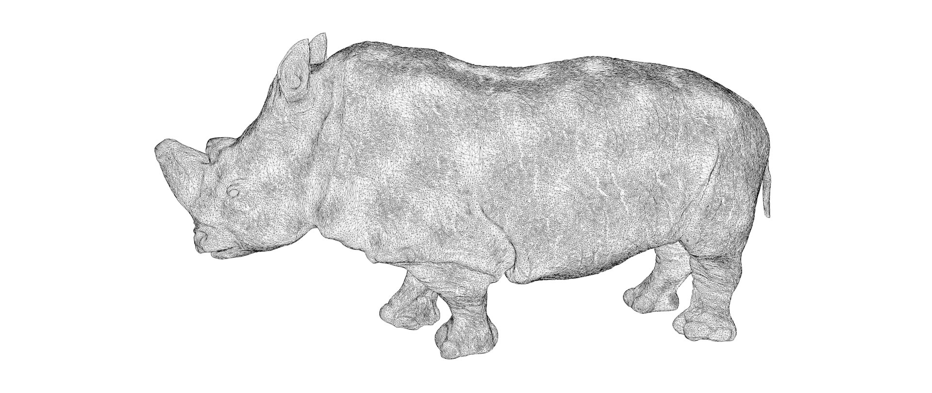 3D model white rhinoceros l201 animate https://p.turbosquid.com/ts-thumb/m0/oE85s3/669pQMrx/10/png/1562986139/1920x1080/fit_q87/ba22c34281d60ae51c798a49e11755ab51bb536f/10.jpg