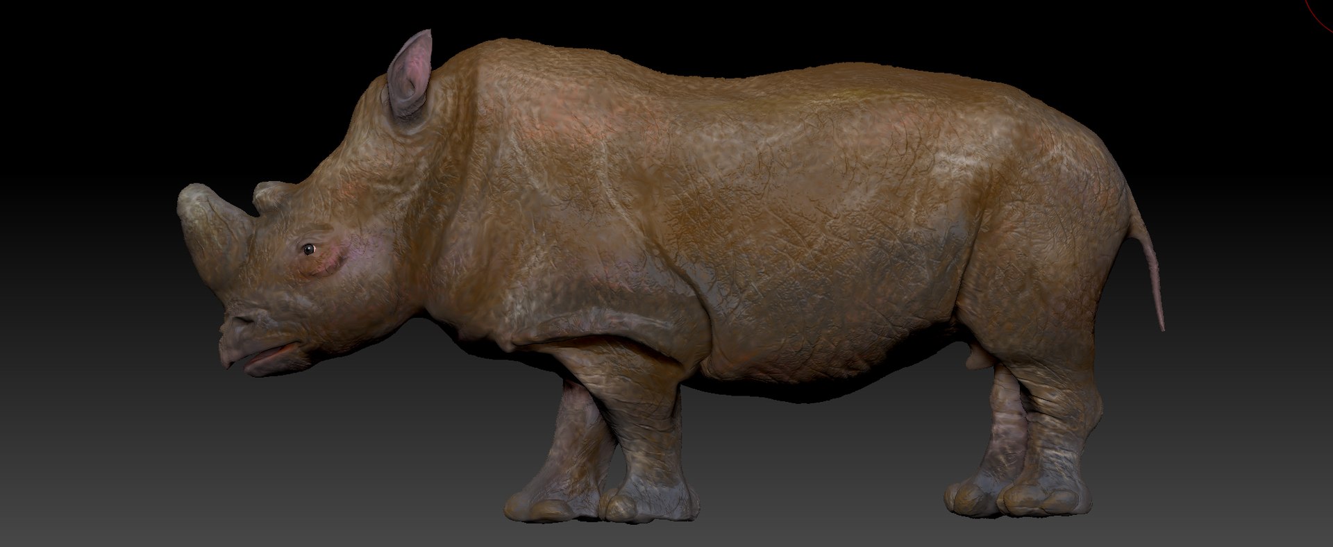3D model white rhinoceros l201 animate https://p.turbosquid.com/ts-thumb/m0/oE85s3/mUnCQXe2/3/png/1562986139/1920x1080/fit_q87/dd8e0b8adb0ed24aa33e3b99de2a038d88cdd1b1/3.jpg