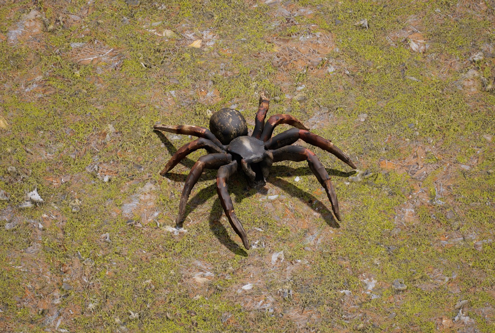 3D Spider Model - TurboSquid 2381335