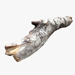 driftwood wood model