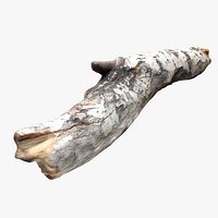 Driftwood 2