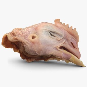 dead chicken head 3d max