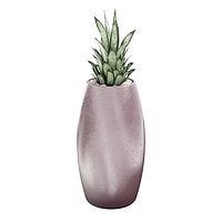 Gandiablasco - SAHARA - Sansevieria B