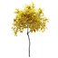 Small maple tree 3D model