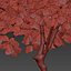 Small maple tree 3D model