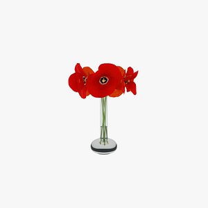 poppies nature flower 3D model
