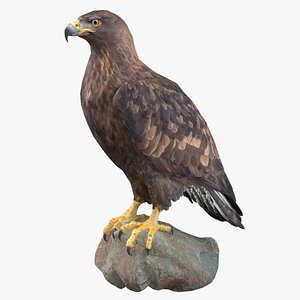 Golden Eagle