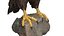 3D model golden eagle birds