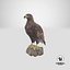 3D model golden eagle birds