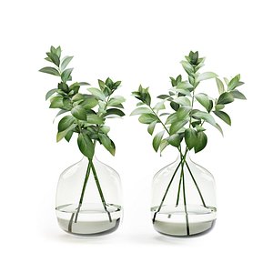 3D herb stem vase water