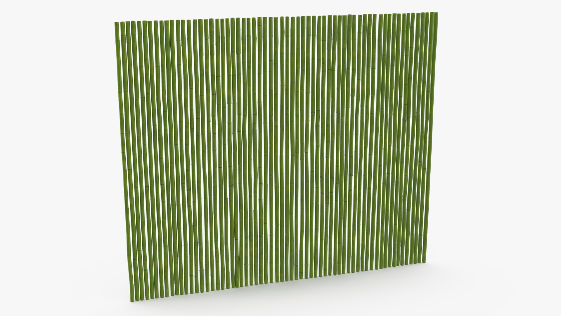 Bamboo Wall Panel Green 3D model preview