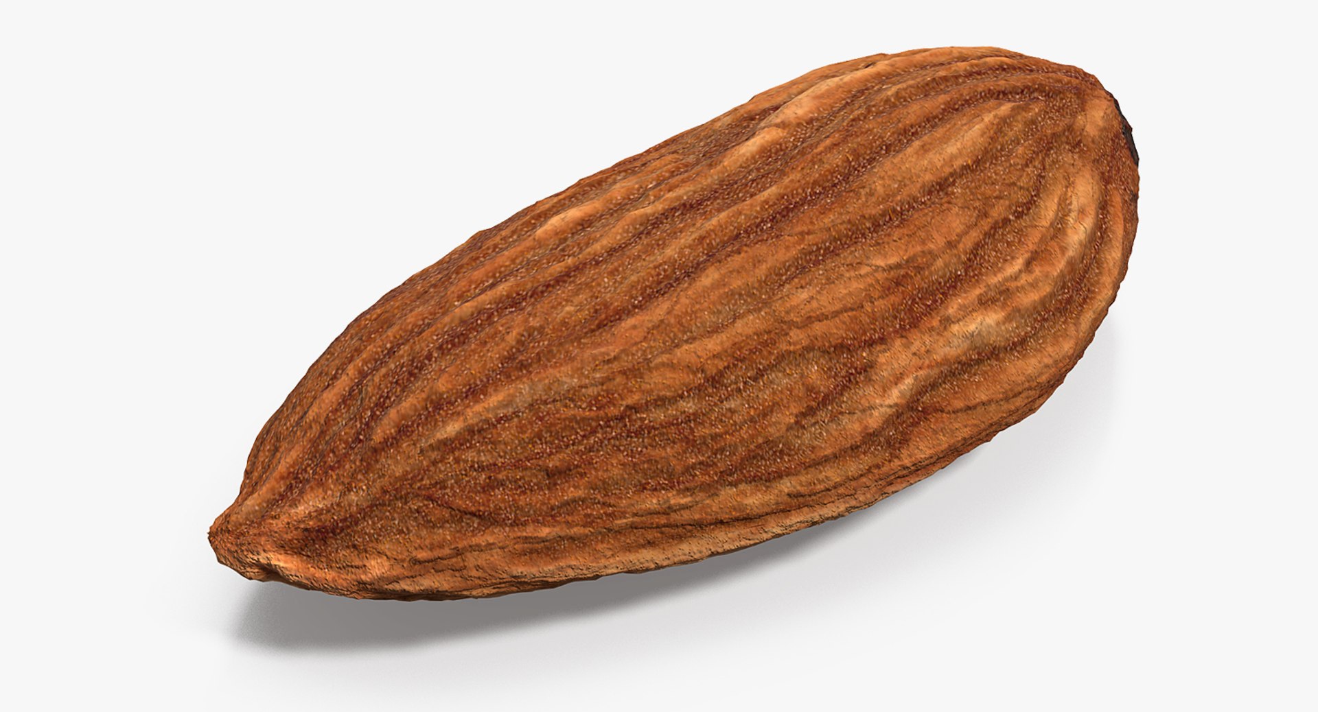 Dry Almond 3D model preview